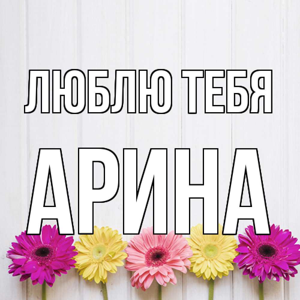Открытка на каждый день с именем, Арина Люблю тебя женщинам 1 Прикольная открытка с пожеланием онлайн скачать бесплатно 