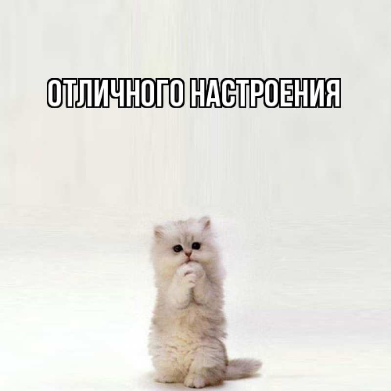 Картинка Обнимашки, Кисуля моя