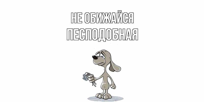 Картинка Не обижайся, Песподобная