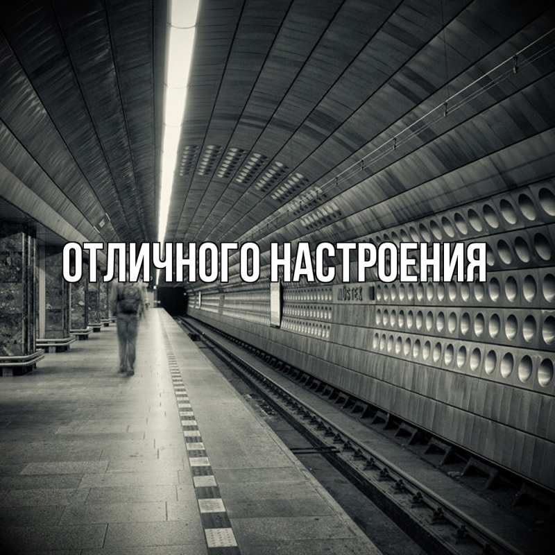 Картинка Скучашки, Песподобная