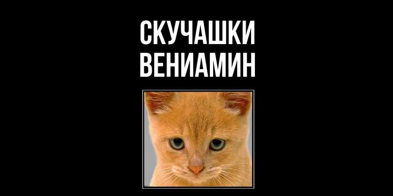 Картинка Скучашки, Вениамин