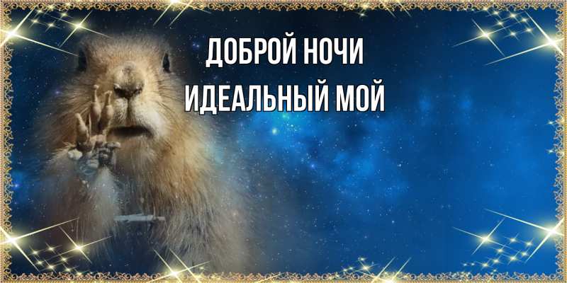 Картинка Доброй ночи, Идеальный мой