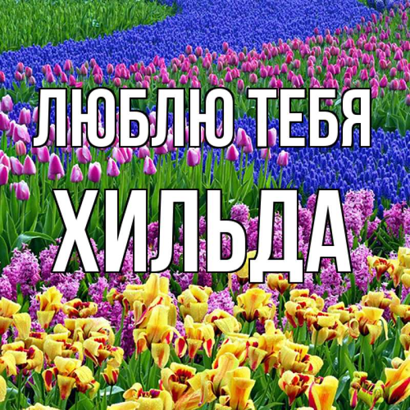 Открытка с именем, Хильда, Люблю тебя