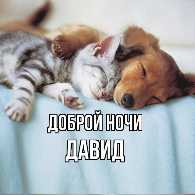 Картинка Доброй ночи, Давид