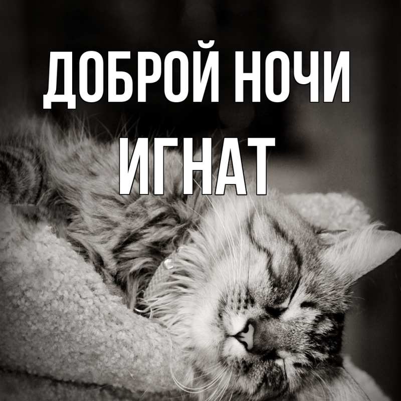 Открытка с именем, Игнат, Доброй ночи