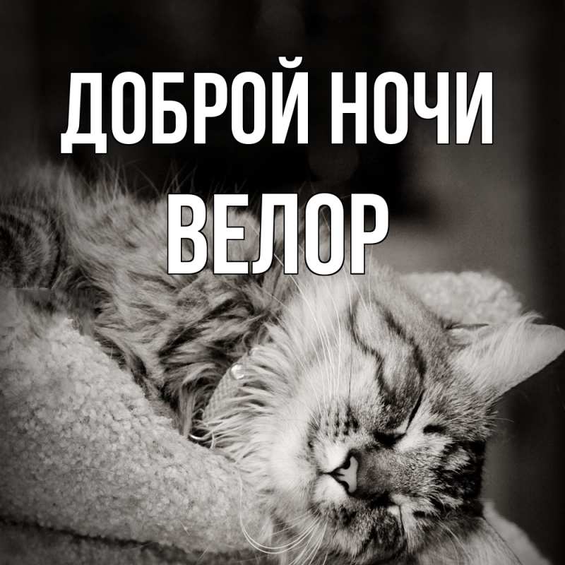 Картинка Доброй ночи, Велор