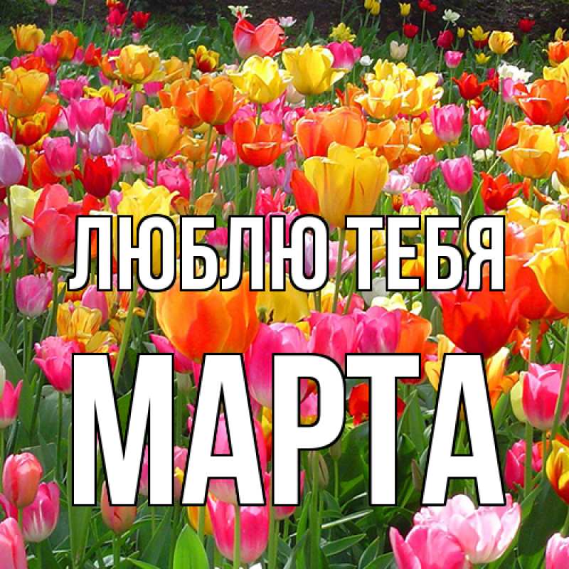 Картинка Люблю тебя, Марта