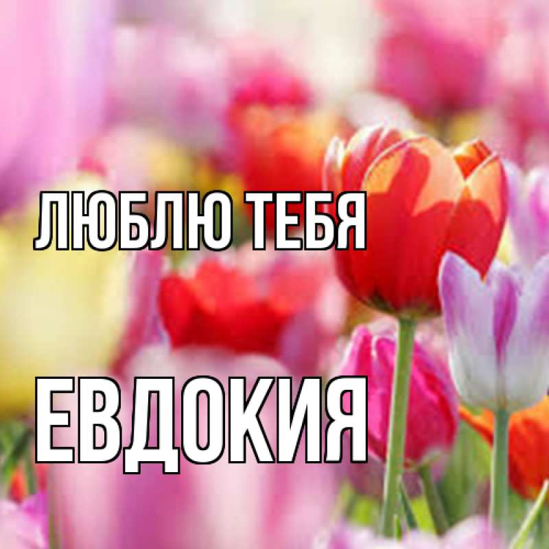 Картинка Люблю тебя, Евдокия