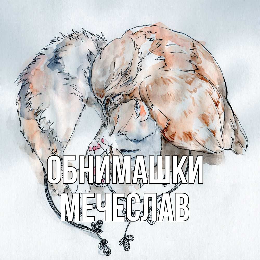 Открытка на каждый день с именем, Мечеслав Обнимашки можно быть вместе даже когда очень разные Прикольная открытка с пожеланием онлайн скачать бесплатно 