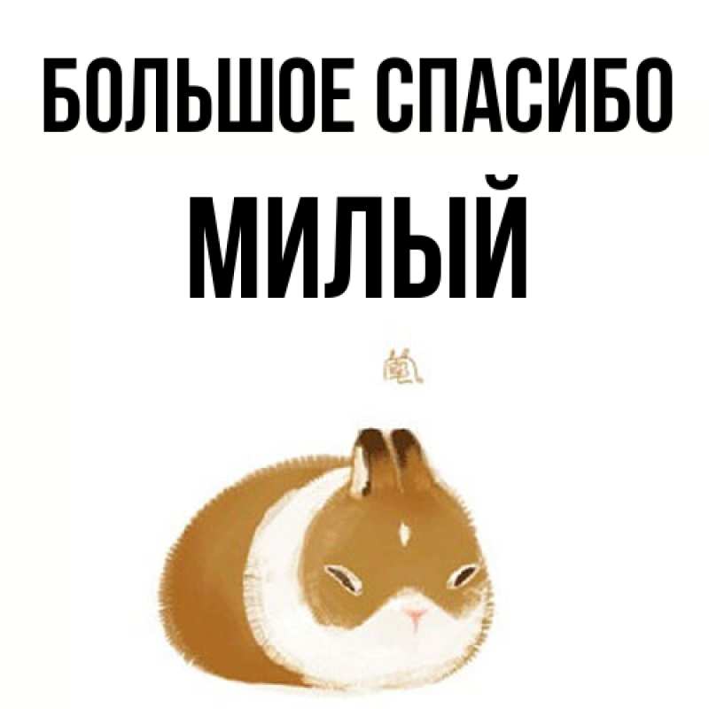 Картинка Большое спасибо, Милый