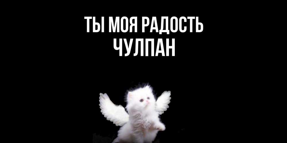 Открытка на каждый день с именем, Чулпан Ты моя радость Кот ангел Прикольная открытка с пожеланием онлайн скачать бесплатно 