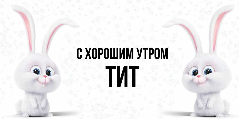 Открытка на каждый день с именем, Тит С хорошим утром кролики с длинными ушками Прикольная открытка с пожеланием онлайн скачать бесплатно 