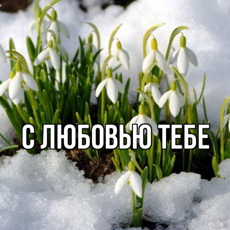 Картинка Люблю тебя, Май