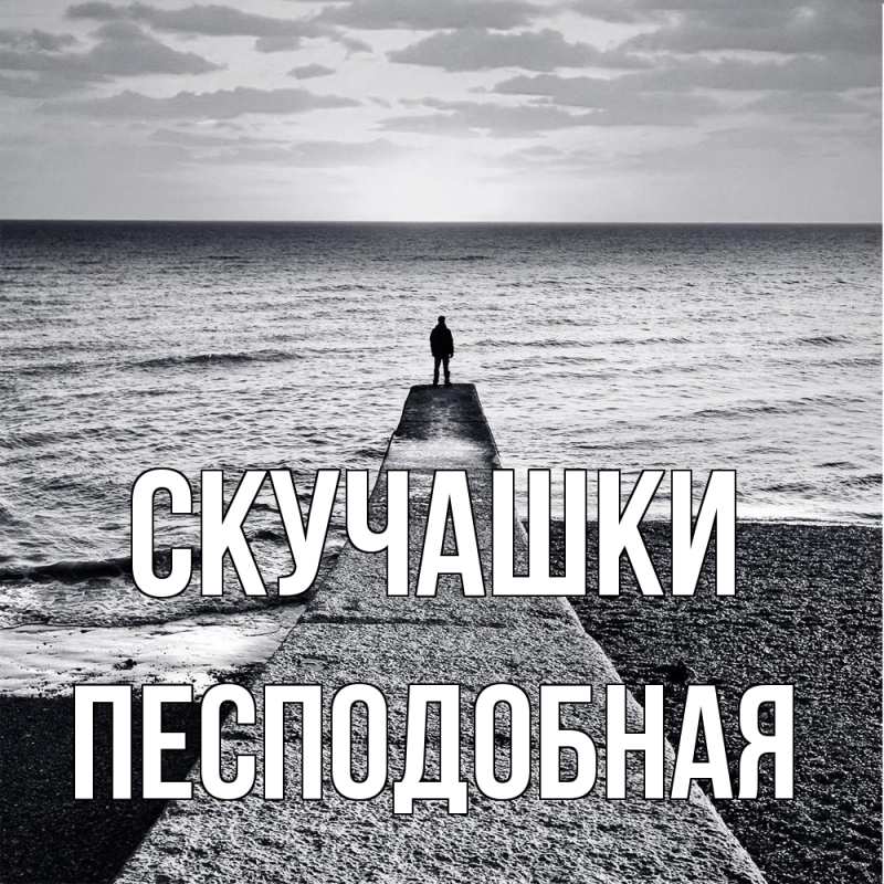 Открытка с именем, Песподобная, Скучашки