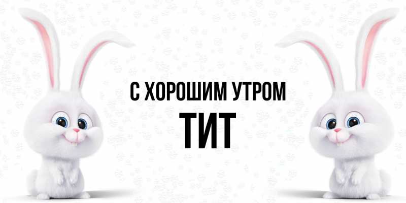 Картинка С хорошим утром, Тит