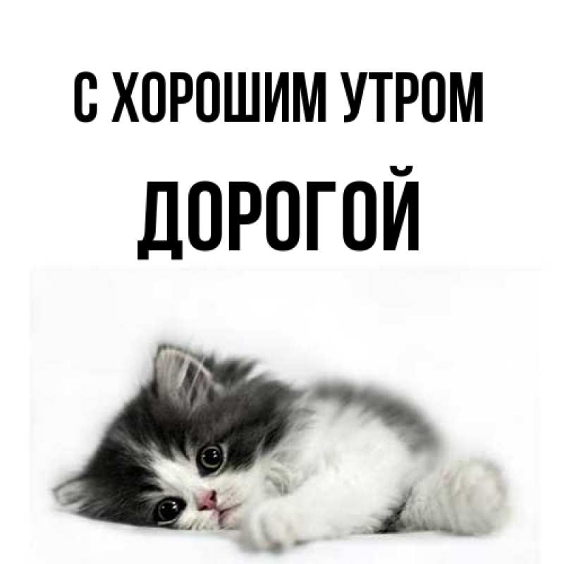 Картинка С хорошим утром, Дорогой