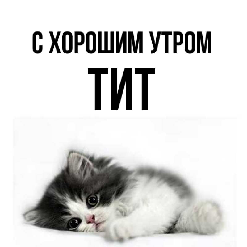Картинка С хорошим утром, Тит