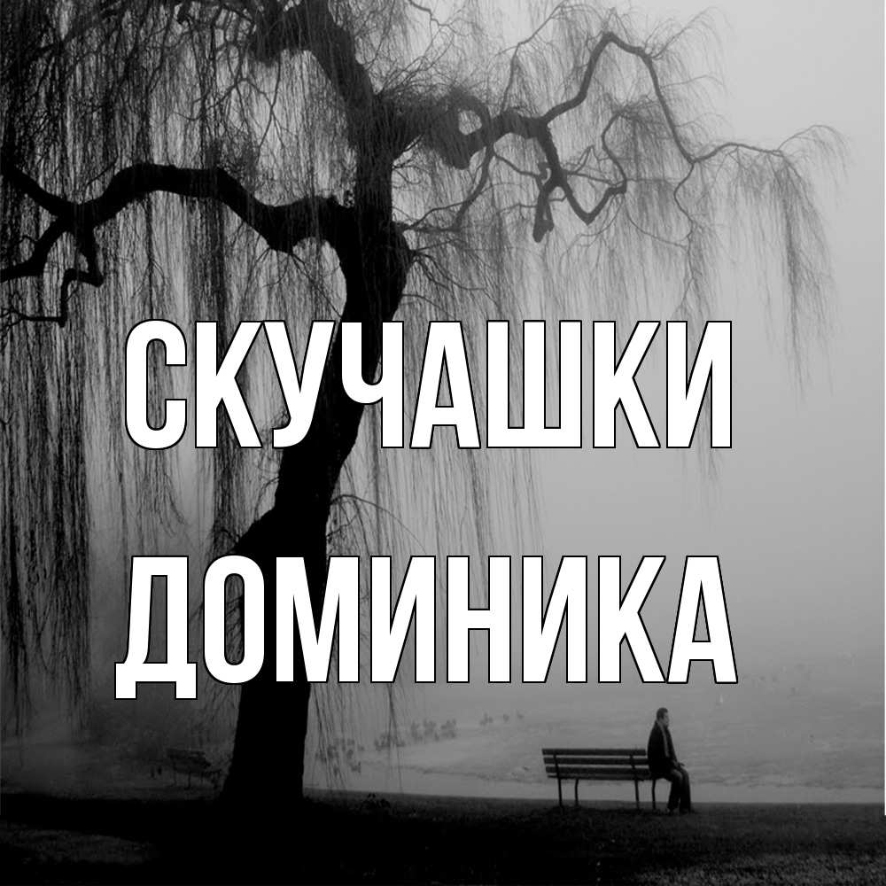 Открытка на каждый день с именем, Доминика Скучашки лавочка под деревом я жду тебя Прикольная открытка с пожеланием онлайн скачать бесплатно 