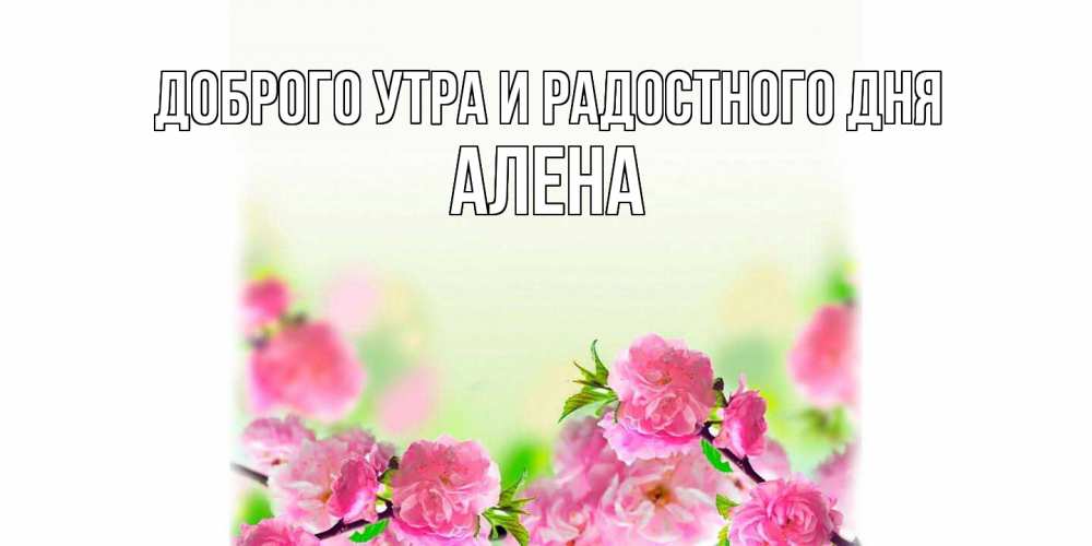 Открытка на каждый день с именем, Алена Доброго утра и радостного дня цветы Прикольная открытка с пожеланием онлайн скачать бесплатно 