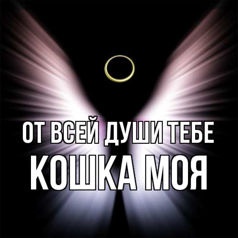 Картинка От всей души тебе, Кошка моя