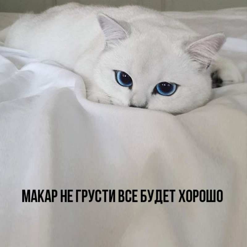 Картинка Не грусти, все будет хорошо, Макар