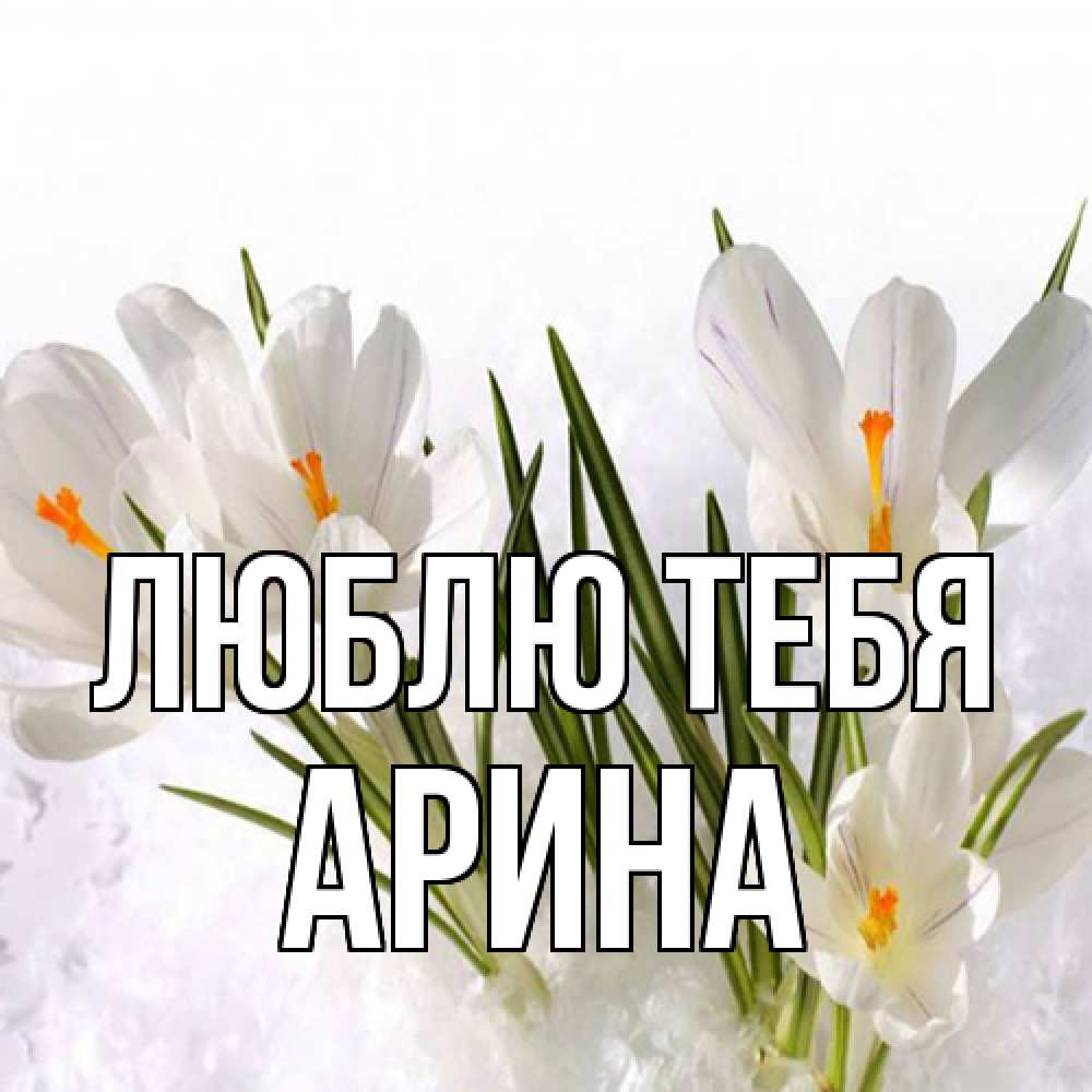 Открытка на каждый день с именем, Арина Люблю тебя под снегом Прикольная открытка с пожеланием онлайн скачать бесплатно 