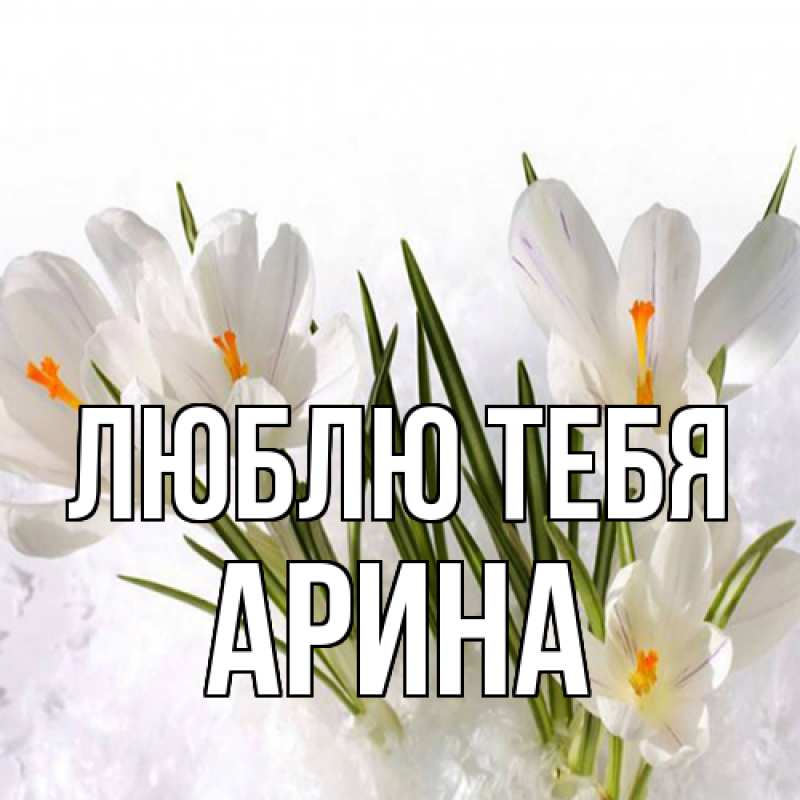 Картинка Люблю тебя, Арина