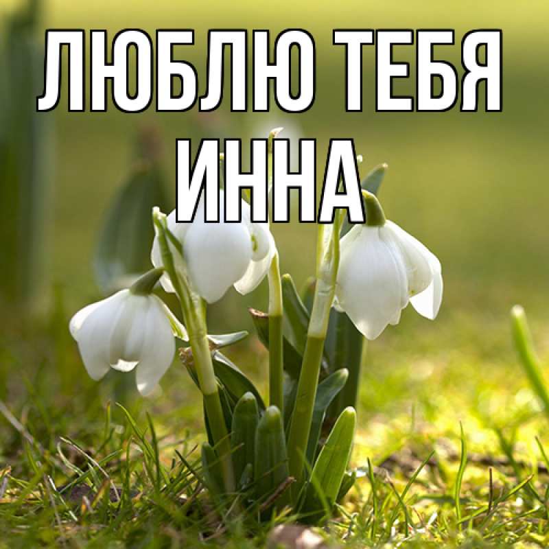 Картинка Люблю тебя, Инна