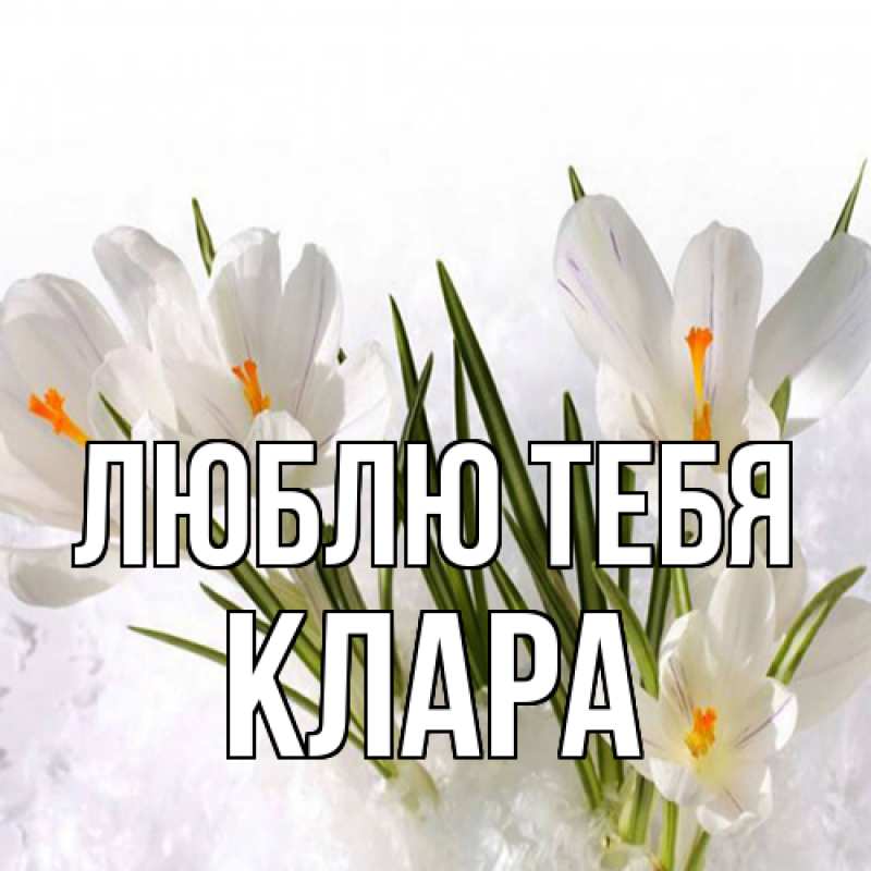 Картинка Люблю тебя, Клара