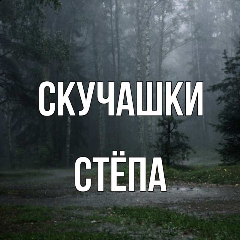 Картинка Скучашки, Стёпа