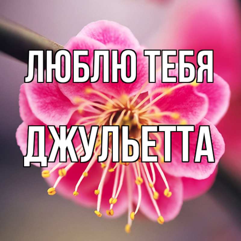 Картинка Люблю тебя, Джульетта