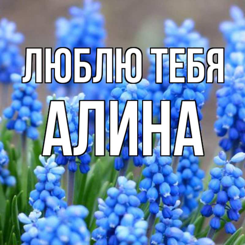 Картинка Люблю тебя, Алина
