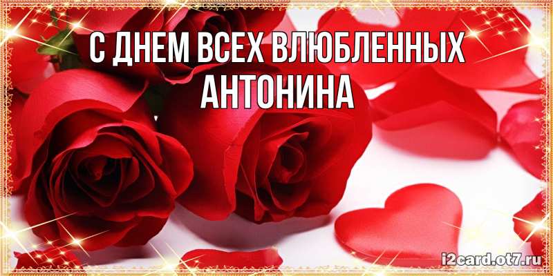 Картинка С днем всех влюбленных, Антонина