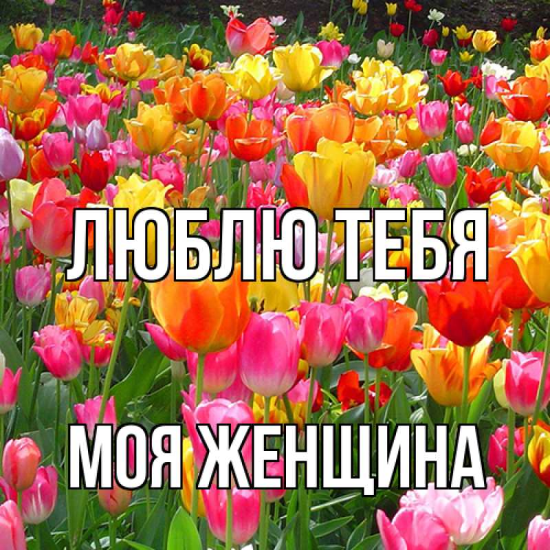 Картинка Люблю тебя, Моя женщина