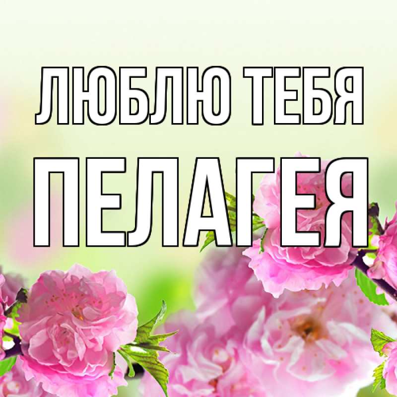 Картинка Люблю тебя, Пелагея